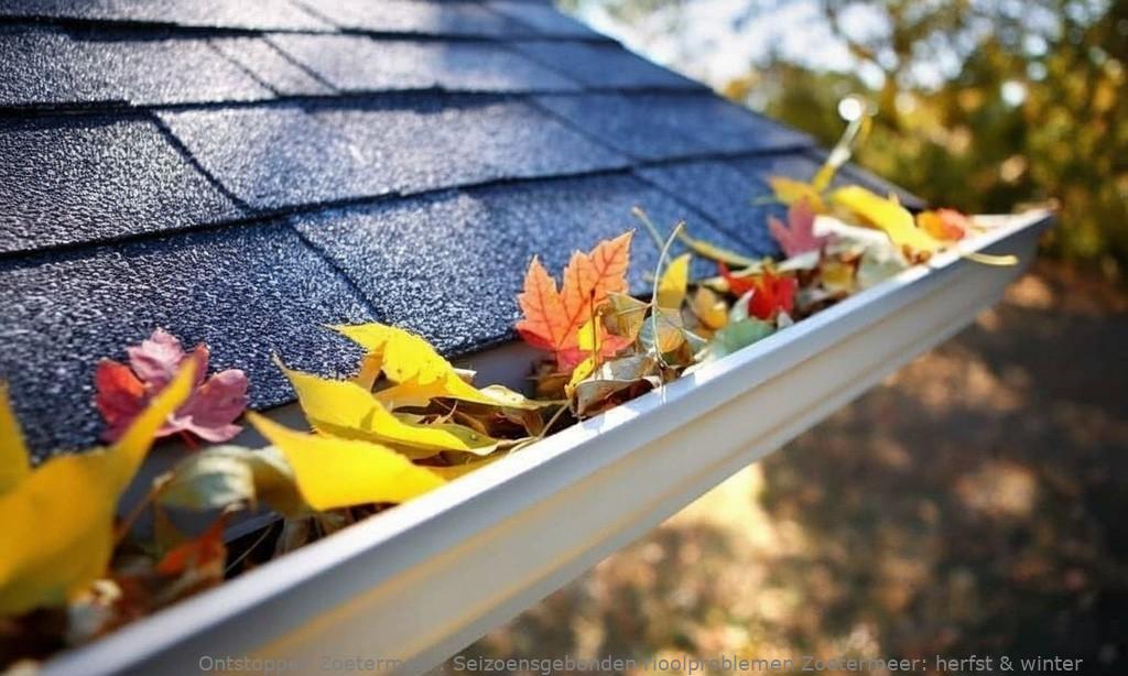Seizoensgebonden rioolproblemen Zoetermeer: herfst & winter